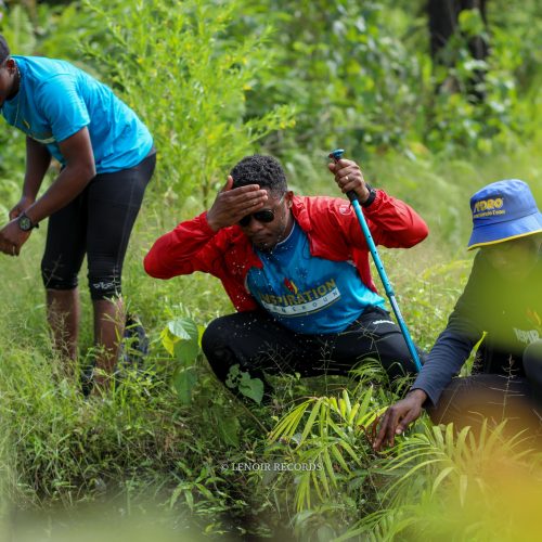 Randonnee Inspiration