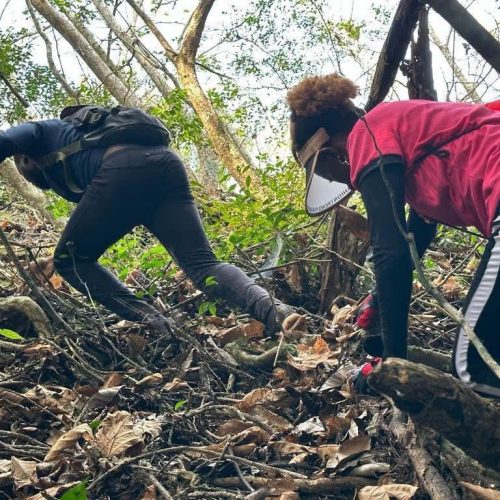 Randonnee Inspiration